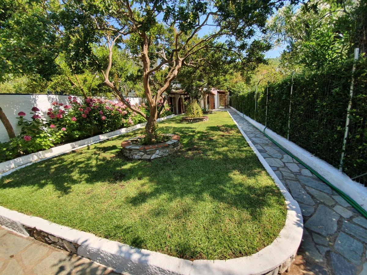 Dionisos Studios And Apts Skiathos Кукунаріес Екстер'єр фото