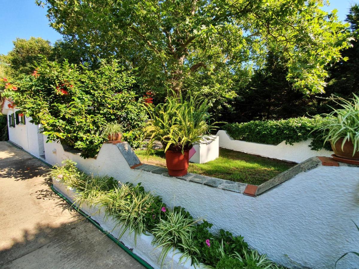 Dionisos Studios And Apts Skiathos Кукунаріес Екстер'єр фото